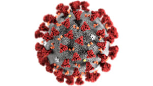 CDC coronavirus rendering