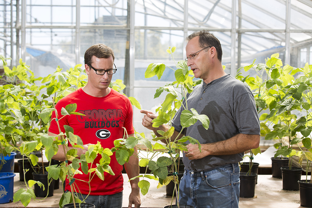 Professor and Student in Greenhouses on Griffin Campus; Associate professor James Buck in Plant Pathology talks with senior Agribusiness major Chris Reynolds of Peachtree City, Ga about soy bean rust fungal disease on plants in greenhouses on the Griffin Campus