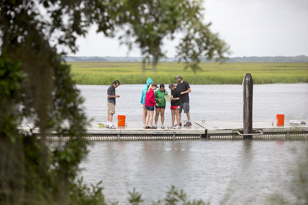 Students examine fish coat in nets off a dock during the Coastal Summer Semester Program on Sapelo Island.