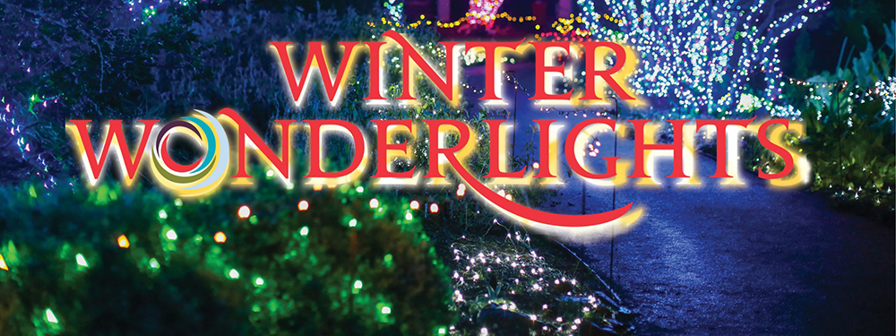 Winter Wonderlights image